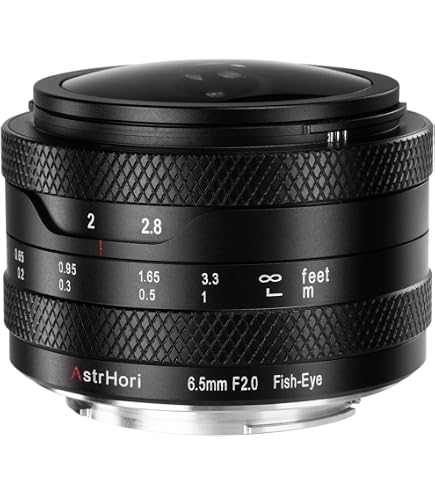 Amazon.co.jp: Samyang 8mm F2.8 UMC 魚眼 II (ブラック) レンズ Sony